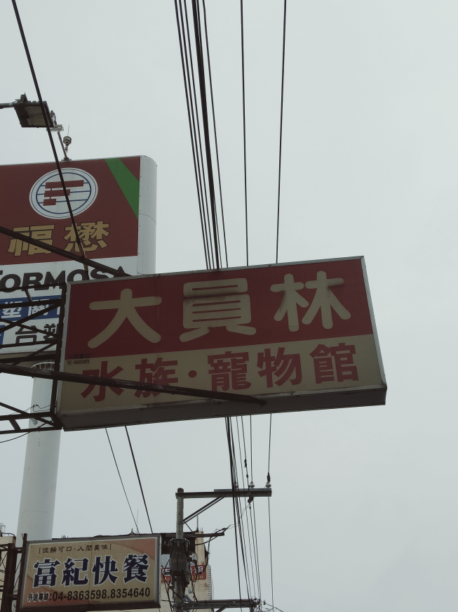 大員林水族寵物館 附近店家 智慧商業獅